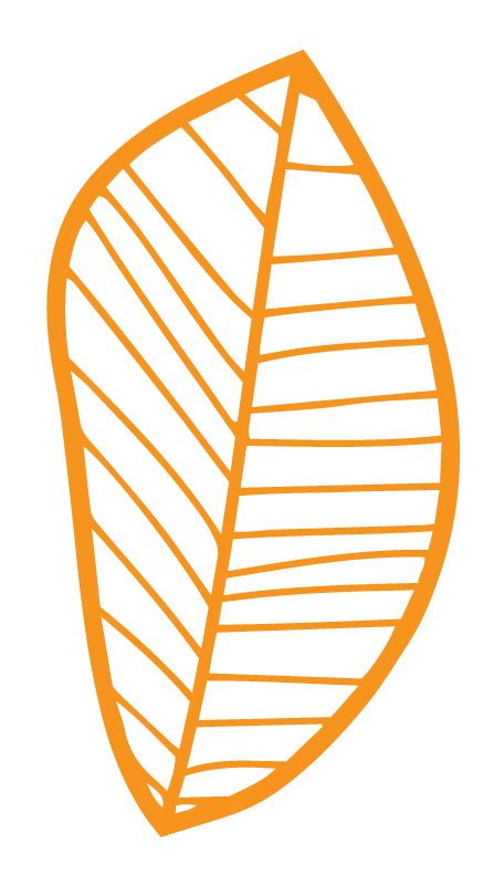 orange_leaf